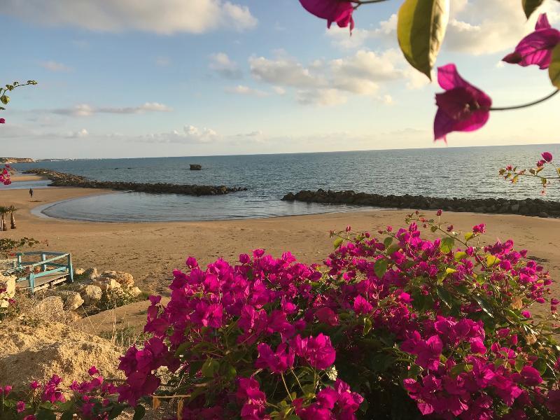 Sikelika Residence Sul Mare Scoglitti Exteriör bild
