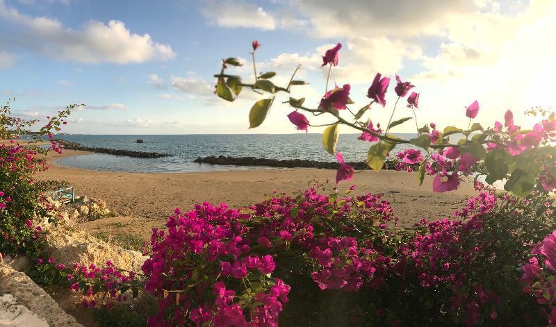 Sikelika Residence Sul Mare Scoglitti Exteriör bild